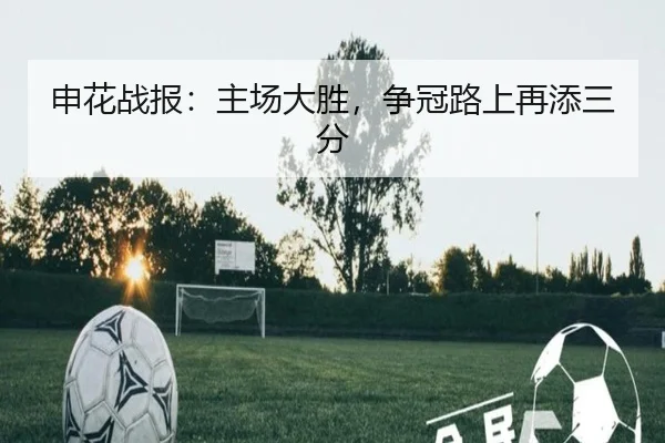 申花战报：主场大胜，争冠路上再添三分